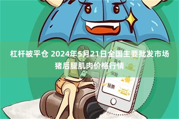 杠杆被平仓 2024年5月21日全国主要批发市场猪后腿肌肉价格行情