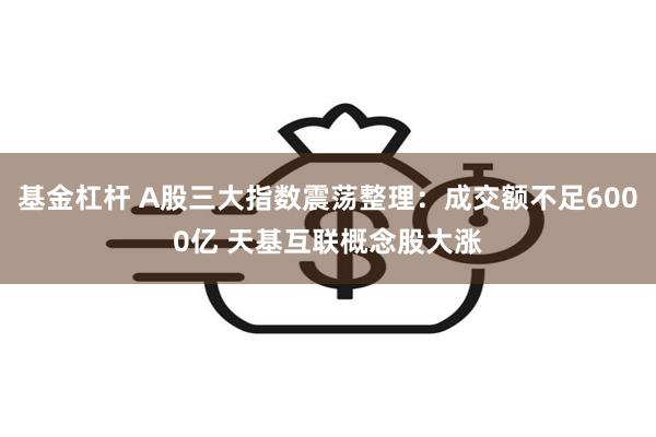 基金杠杆 A股三大指数震荡整理：成交额不足6000亿 天基互联概念股大涨