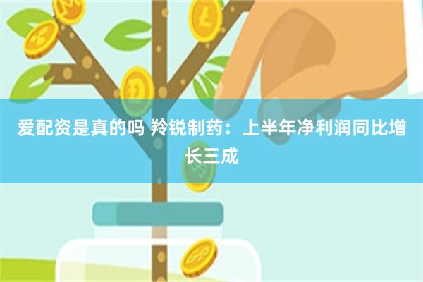 爱配资是真的吗 羚锐制药：上半年净利润同比增长三成