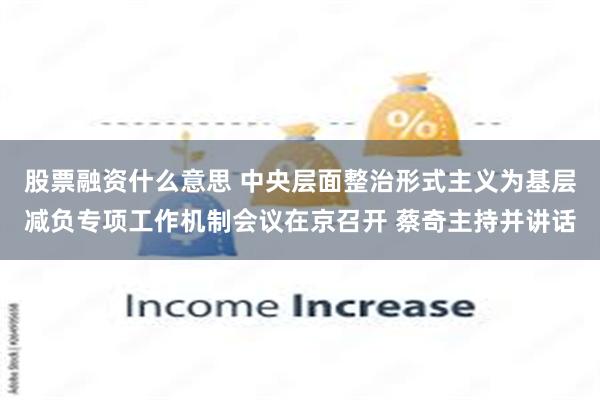 股票融资什么意思 中央层面整治形式主义为基层减负专项工作机制会议在京召开 蔡奇主持并讲话