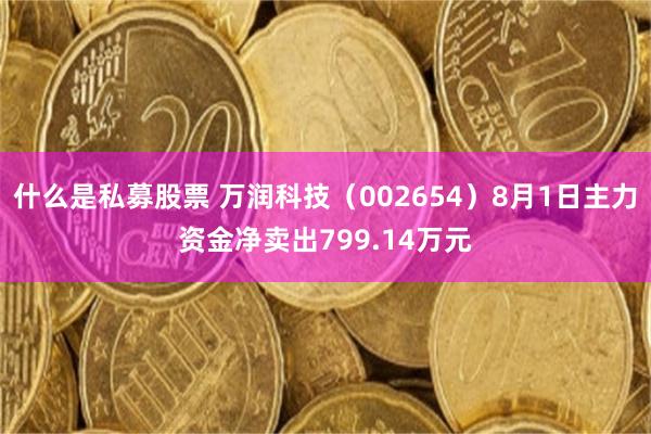 什么是私募股票 万润科技（002654）8月1日主力资金净卖出799.14万元