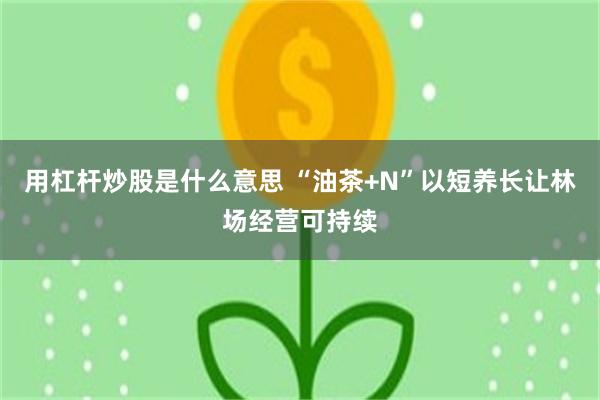 用杠杆炒股是什么意思 “油茶+N”以短养长让林场经营可持续