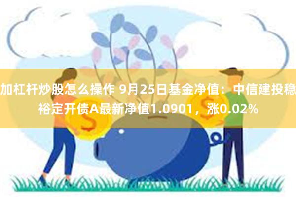 加杠杆炒股怎么操作 9月25日基金净值：中信建投稳裕定开债A