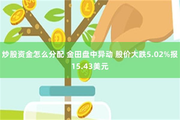 炒股资金怎么分配 金田盘中异动 股价大跌5.02%报15.43美元