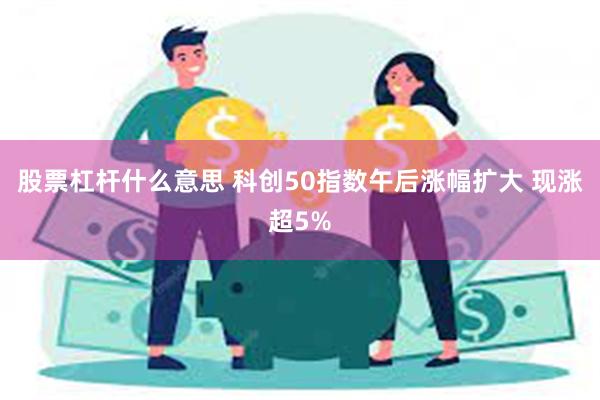 股票杠杆什么意思 科创50指数午后涨幅扩大 现涨超5%