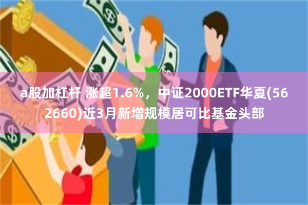 a股加杠杆 涨超1.6%，中证2000ETF华夏(562