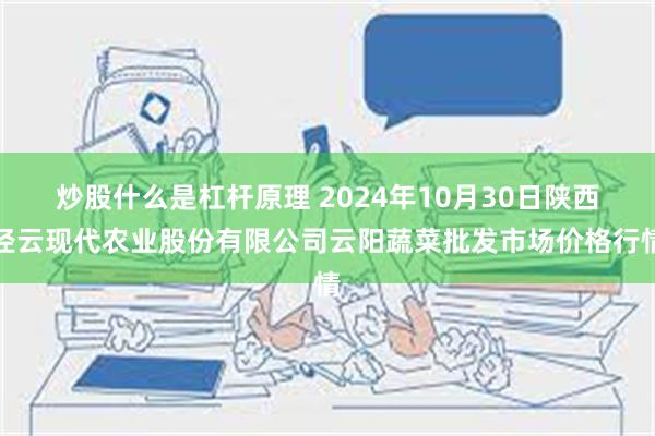 炒股什么是杠杆原理 2024年10月30日陕西泾云现代农