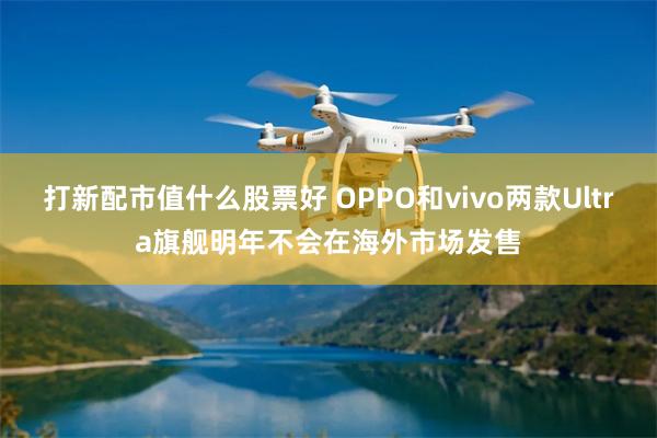 打新配市值什么股票好 OPPO和vivo两款Ultra旗舰明年不会在海外市场发售