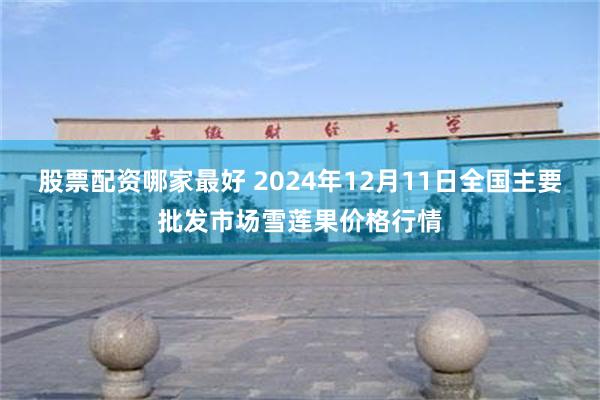 股票配资哪家最好 2024年12月11日全国主要批发市场雪莲果价格行情