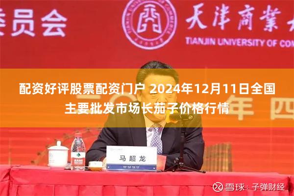 配资好评股票配资门户 2024年12月11日全国主要批发市场长茄子价格行情