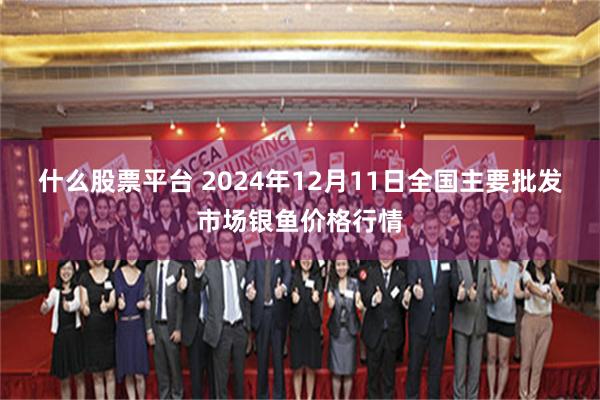 什么股票平台 2024年12月11日全国主要批发市场银鱼价格行情