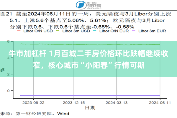 牛市加杠杆 1月百城二手房价格环比跌幅继续收窄，核心城市“小阳春”行情可期