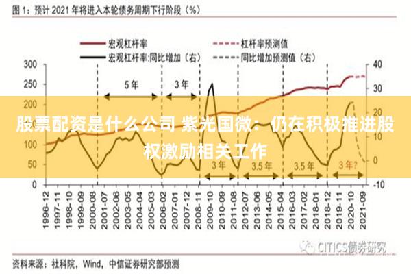 股票配资是什么公司 紫光国微：仍在积极推进股权激励相关工作