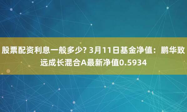 股票配资利息一般多少? 3月11日基金净值：鹏华致远成长混合A最新净值0.5934