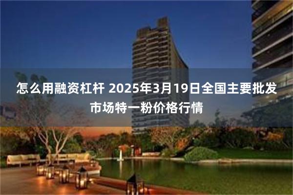 怎么用融资杠杆 2025年3月19日全国主要批发市场特一粉价格行情